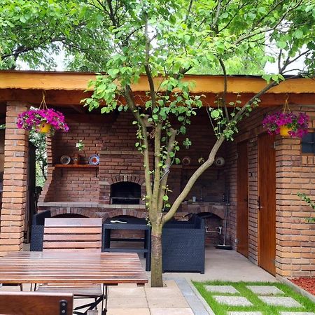 Вілла Cozy House With Nice Garden In Heart Of City Center Клуж-Напока Екстер'єр фото