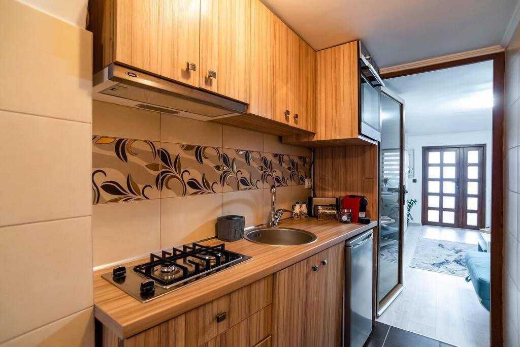 Вілла Cozy House With Nice Garden In Heart Of City Center Клуж-Напока Екстер'єр фото