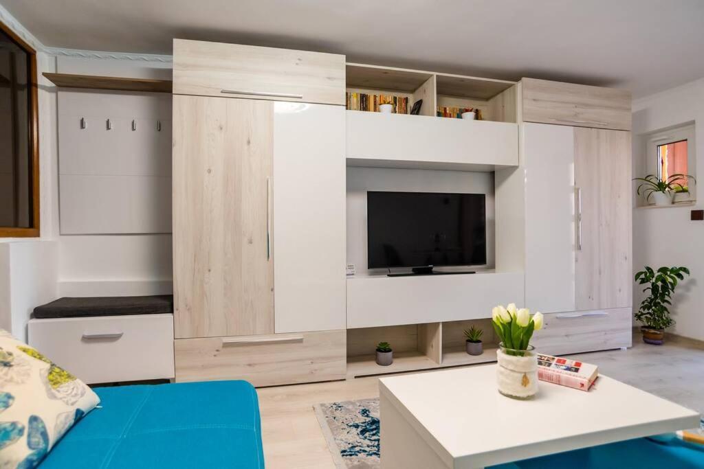 Вілла Cozy House With Nice Garden In Heart Of City Center Клуж-Напока Екстер'єр фото