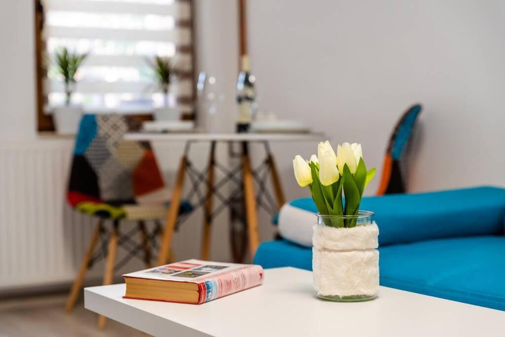 Вілла Cozy House With Nice Garden In Heart Of City Center Клуж-Напока Екстер'єр фото