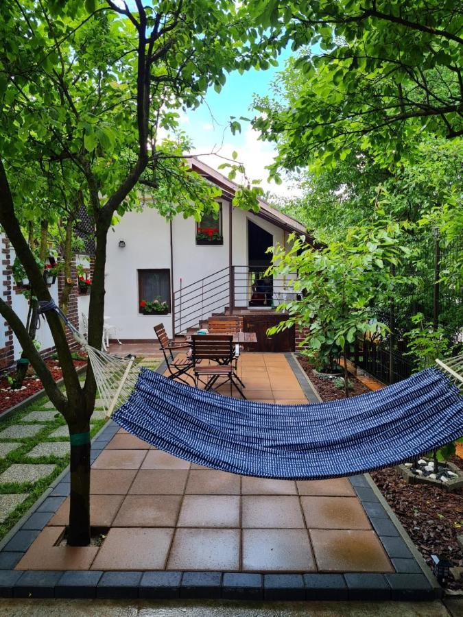 Вілла Cozy House With Nice Garden In Heart Of City Center Клуж-Напока Екстер'єр фото